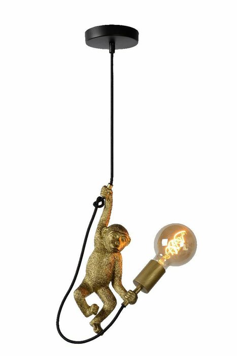 Подвесной светильник Extravaganza Chimp 10402/01/30 (металл, цвет черный)