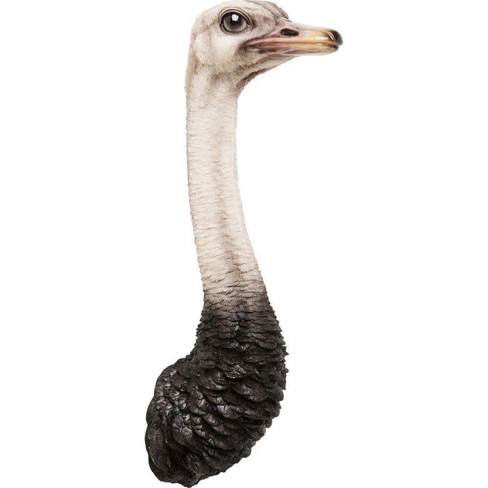 Украшение настенное Ostrich черно-белого цвета - купить Декор стен по цене 19110.0