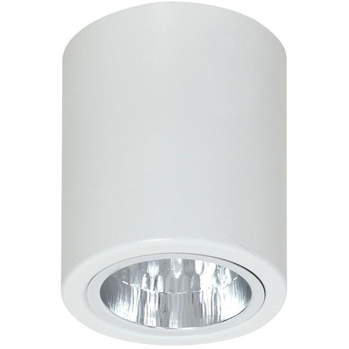 Потолочный светильник Downlight Round белого цвета