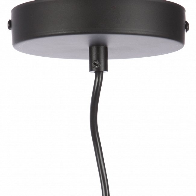 Металлический подвесной светильник Visitor Lighting - купить Подвесные светильники по цене 8034.0