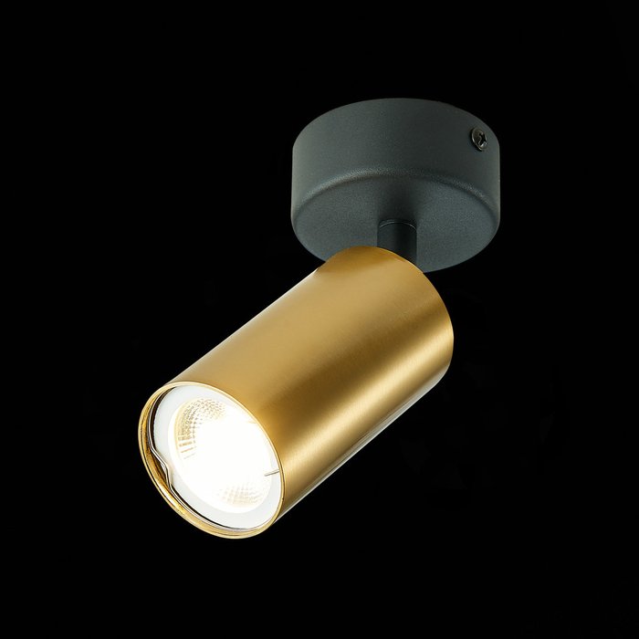 Потолочный светильник Dario золотистого цвета - лучшие Потолочные светильники в INMYROOM