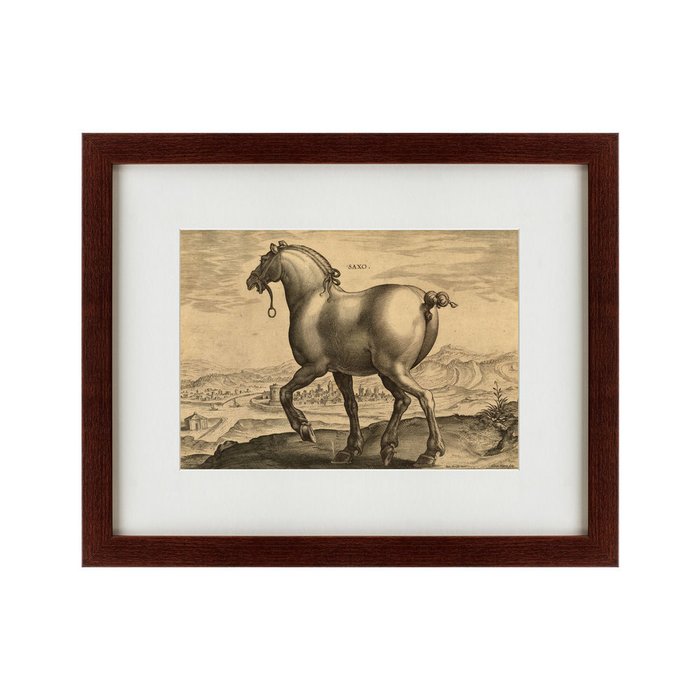 Картина A Saxon Horse 1575 г. - купить Картины по цене 4990.0