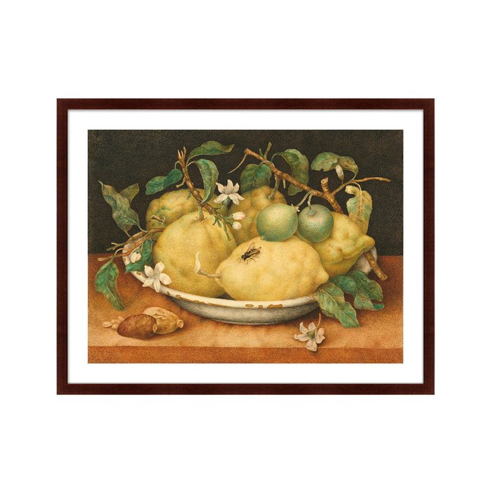 Репродукция картины Still Life with Bowl of Citrons 1654 г. - купить Картины по цене 12999.0
