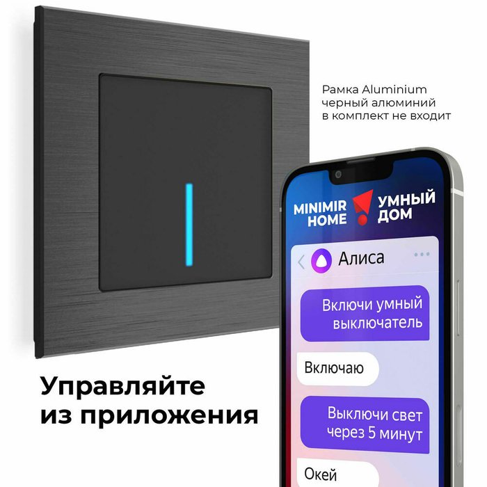 Умный сенсорный выключатель одноклавишный W4510608 Встраиваемые механизмы черные - купить Розетки по цене 9580.0 Умный сенсорный выключатель одноклавишный W4510608 Встраиваемые механизмы черные - купить Розетки по цене 9580.0