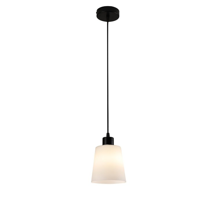 Подвесной светильник Escada Clarity ES0000041 120004/1P E27*60W Black