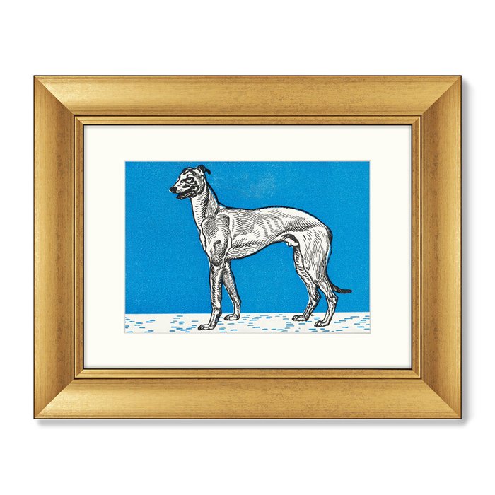 Набор из 2-х репродукций картин в раме Greyhound & Pitbull Terrier, 1912г. - лучшие Картины в INMYROOM
