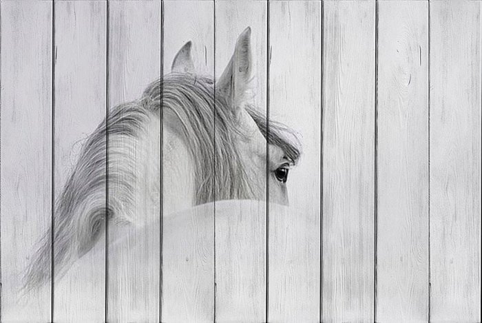 Картина на дереве Белая лошадь 120х180