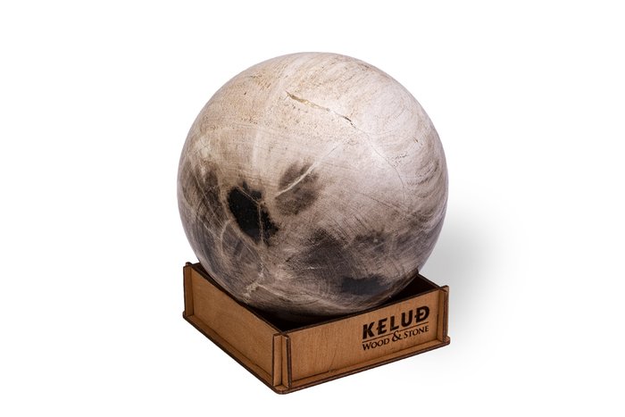 Декоративный шар из окаменелого дерева 383201 - купить Фигуры и статуэтки по цене 6695.0