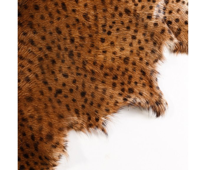 Ковер "Leopardo" - купить Ковры по цене 24500.0
