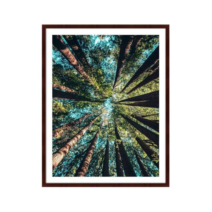 Картина Deep forest - купить Картины по цене 16999.0