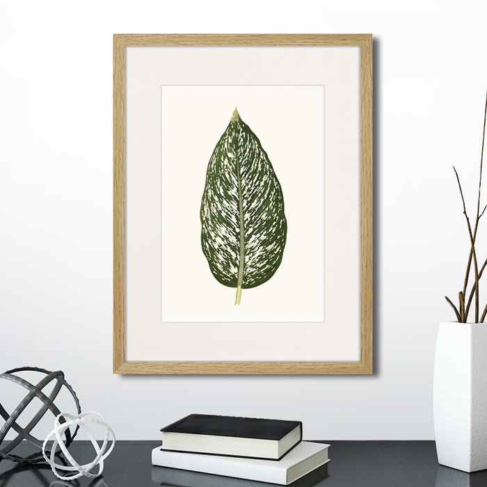 Набор из двух картин Single leaf of a plant  - купить Картины по цене 5990.0