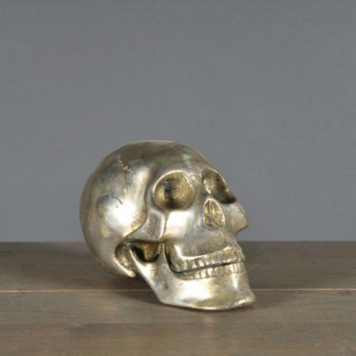 Статуэтка Ateliers C&S Davoy Iron Skull Small - купить Фигуры и статуэтки по цене 7680.0