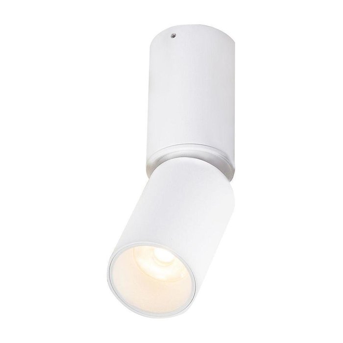 Потолочный светодиодный светильник Luwin белого цвета