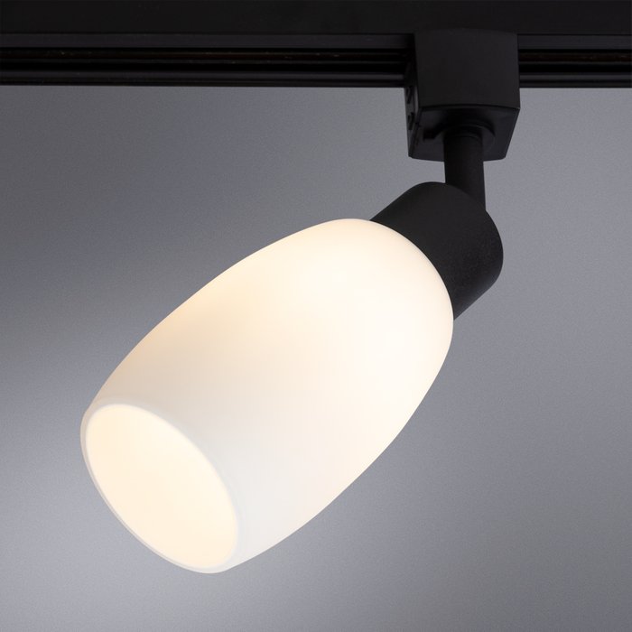 Трековый светильник Arte Lamp Miia A3055PL-1BK - купить Трековые светильники по цене 360.0