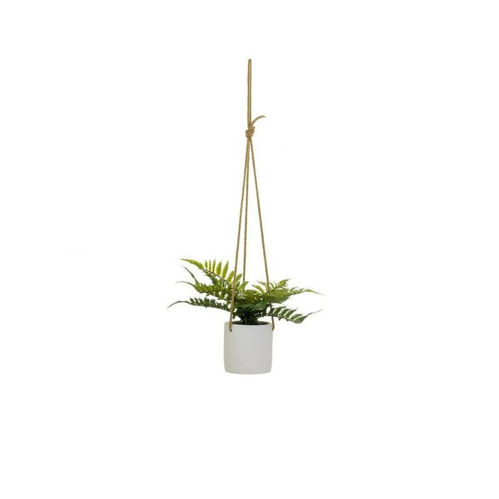Декоративное растение полиэтилен Цемент 30 x 30 x 24 cm - купить Декоративные цветы по цене 2892.0