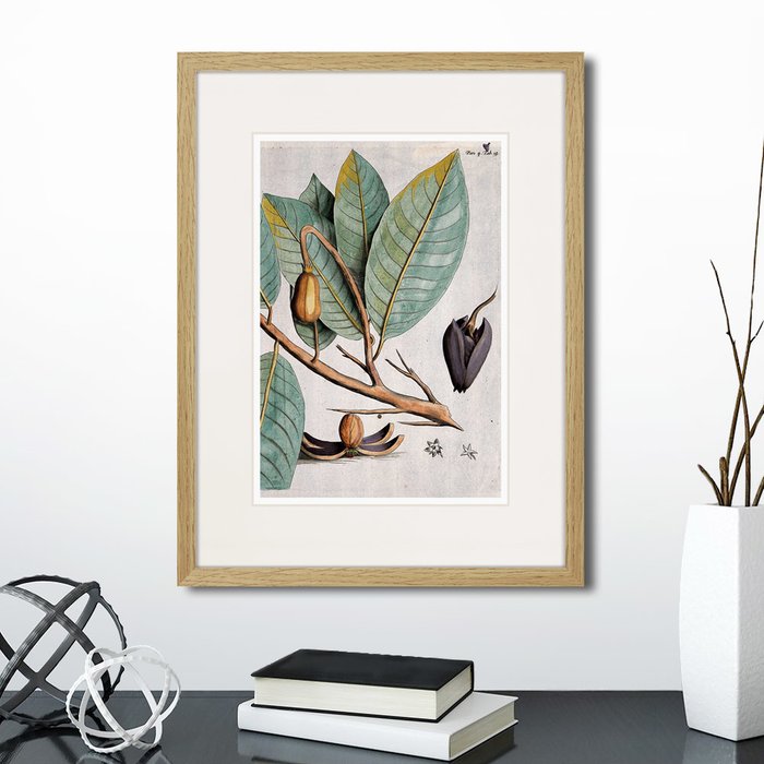 Набор из двух картин Exotic plants of the world №3 - лучшие Картины в INMYROOM