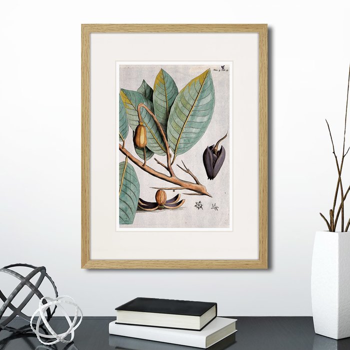 Набор из двух картин Exotic plants of the world №3 - лучшие Картины в INMYROOM Набор из двух картин Exotic plants of the world №3 - лучшие Картины в INMYROOM