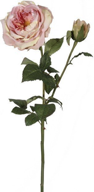 Декор English Rose