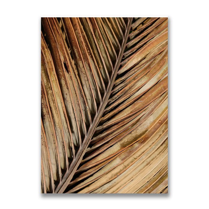 Картина на холсте Золотой лист пальмы 50х70 см