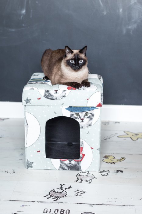 Пуфик складной Кошки для животных светло-голубого цвета - купить Мебель для домашних питомцев по цене 2294.0
