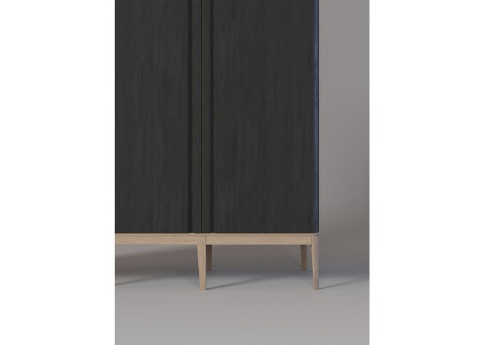 Шкаф Line черного цвета - купить Шкафы распашные по цене 167900.0