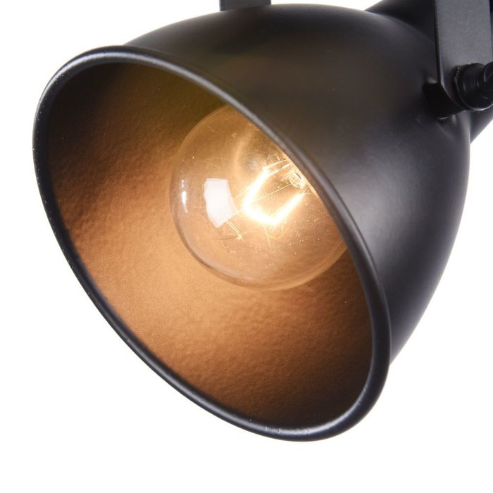 Потолочный светильник Ibbi с плафоном черного цвета - лучшие Потолочные светильники в INMYROOM