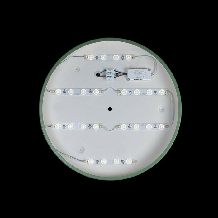 Потолочный светодиодный светильник Loft IT Axel 10003/24 green - лучшие Потолочные светильники в INMYROOM