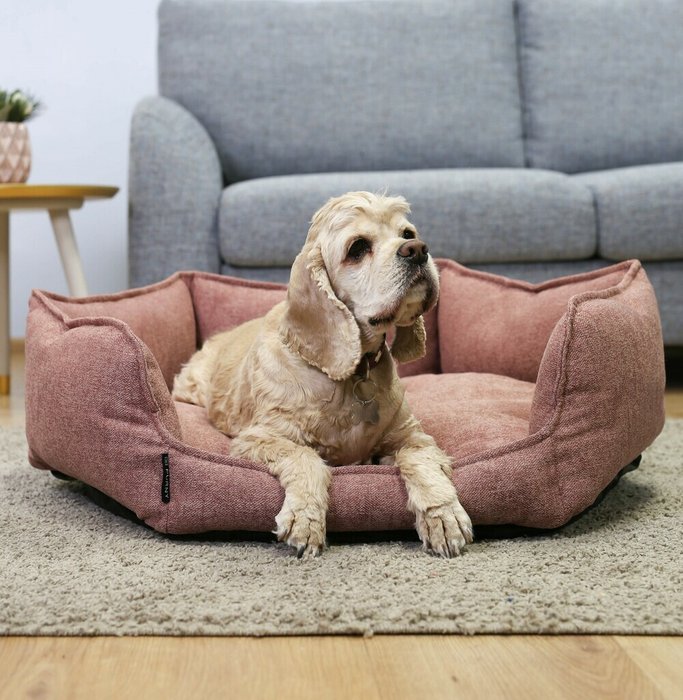 Лежанка круглая для животных 60х70 розового цвета - лучшие Мебель для домашних питомцев в INMYROOM
