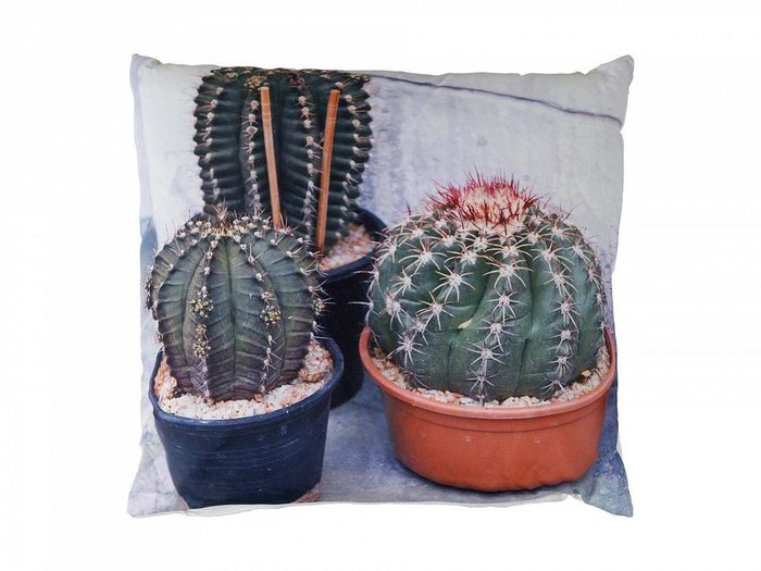 Декоративная подушка Cactus 45х45 серо-зеленого цвета 