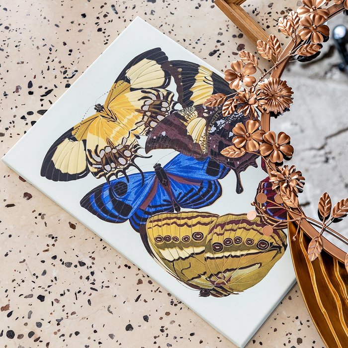 Картина Бабочки мира, версия 14 - купить Картины по цене 4500.0