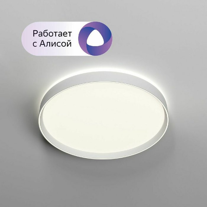 Потолочный светильник Plato DK6511-WH/1 (пластик, цвет белый) Потолочный светильник Plato DK6511-WH/1 (пластик, цвет белый)