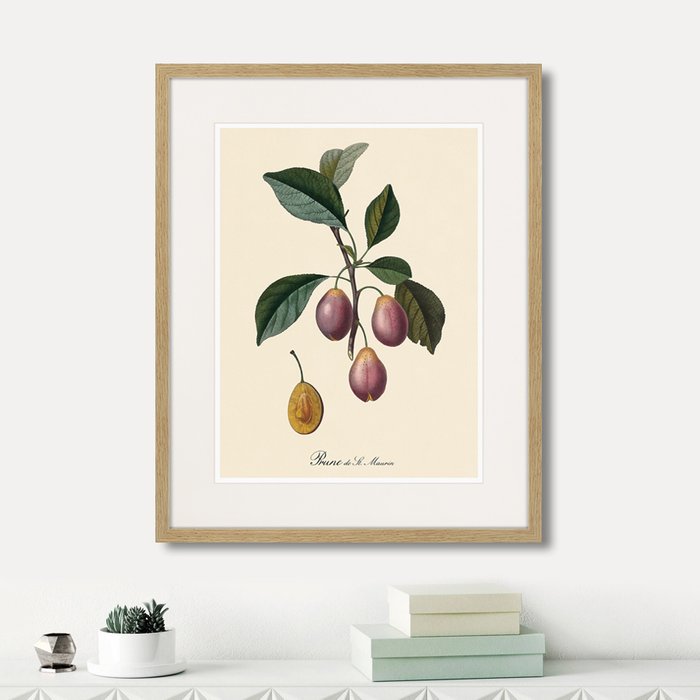 Набор из шести картин Juicy fruit lithography №4  - купить Картины по цене 23970.0