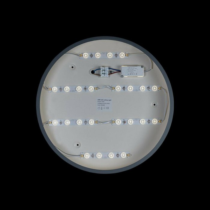 Потолочный светодиодный светильник Loft IT Axel 10003/24 grey - лучшие Потолочные светильники в INMYROOM