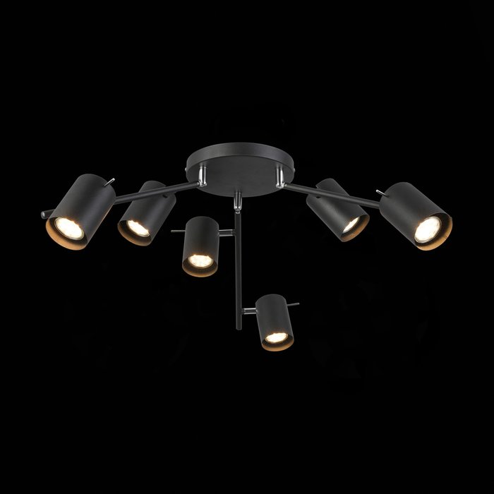  Светильник потолочный Fanale черного цвета - лучшие Потолочные люстры в INMYROOM