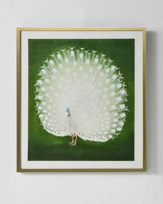 Интерьерный постер White Peacock 85х95 бело-зеленого цвета - лучшие Картины в INMYROOM Интерьерный постер White Peacock 85х95 бело-зеленого цвета - лучшие Картины в INMYROOM