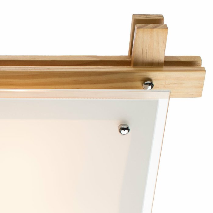 Потолочный светильник  Arte Lamp - лучшие Потолочные светильники в INMYROOM