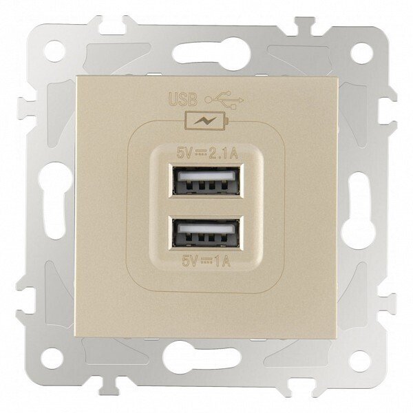 Розетка USB, без рамки 203.46-1.shampan
