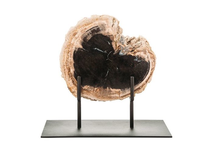 Декоративное панно из окаменелого дерева 382560 - купить Фигуры и статуэтки по цене 11330.0