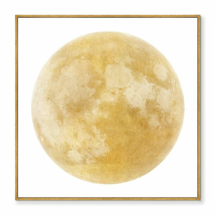 Репродукция картины на холсте Full lunar view, on a white 105х105 - купить Картины по цене 29999.0