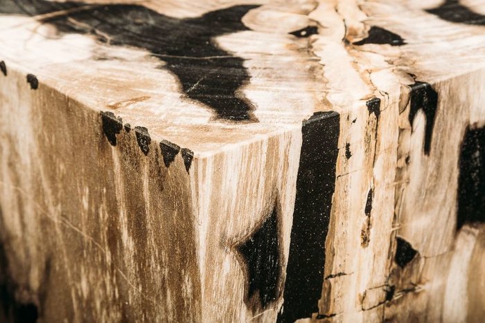 Декоративный пенек Джемур из окаменелого дерева 383398 - лучшие Консоли в INMYROOM