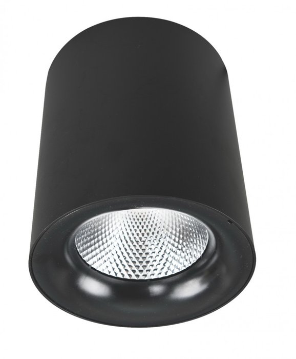 Потолочный светильник Facile светодиодный черного цвета