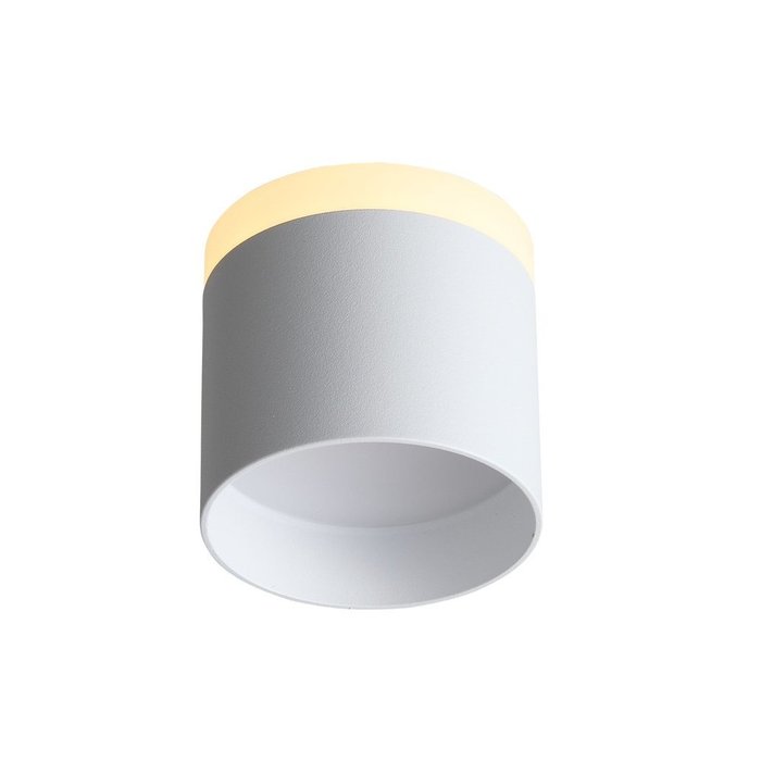  Светильник потолочный Panaggio белого цвета - лучшие Потолочные светильники в INMYROOM