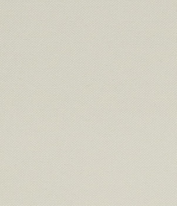 мини ролета Лестер 98х175 шампань - лучшие Шторы в INMYROOM