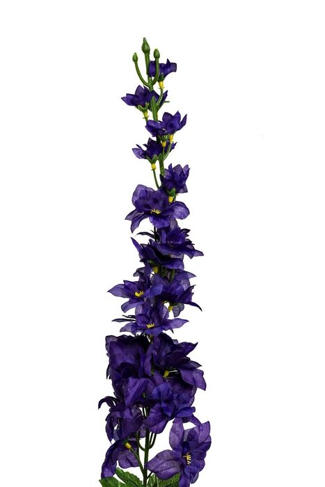 Дельфиниум синего цвета - купить Декоративные цветы по цене 320.0