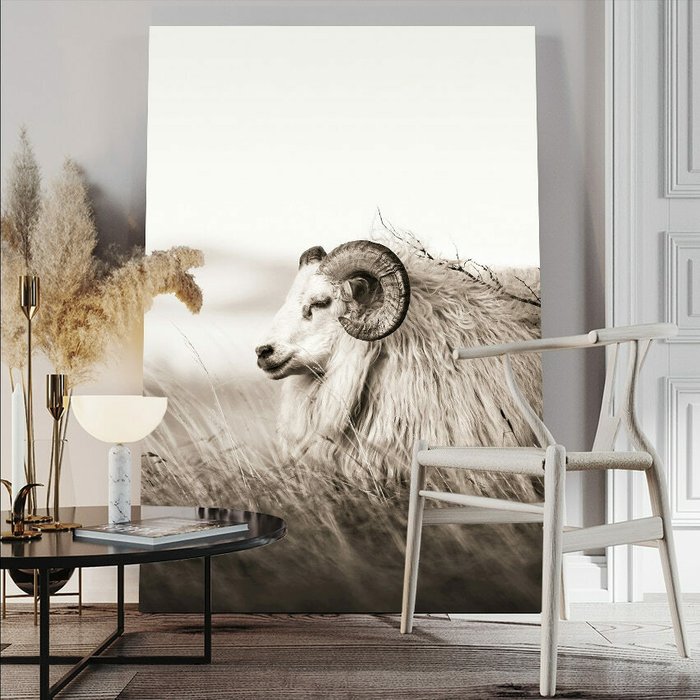 Картина на холсте Исландская овца 50х70 см - купить Картины по цене 5990.0