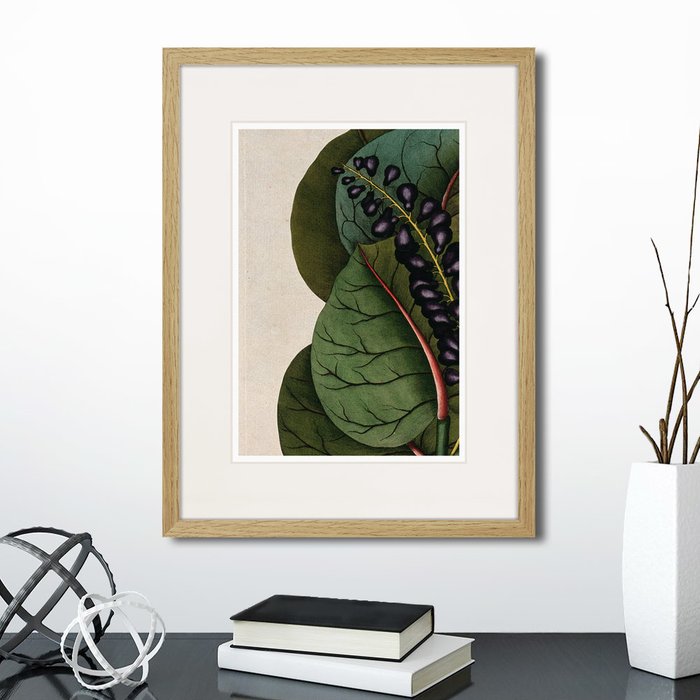 Набор из двух картин Exotic plants of the world  - купить Картины по цене 5990.0