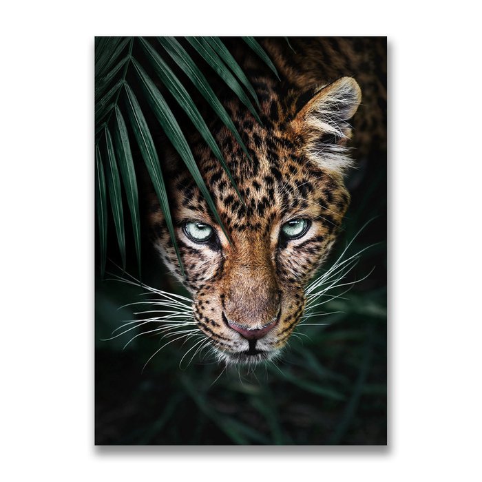 Картина на холсте Леопард №4 50х70 см