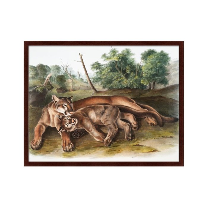 Репродукция картины The Cougar 1850 г. - купить Картины по цене 12999.0