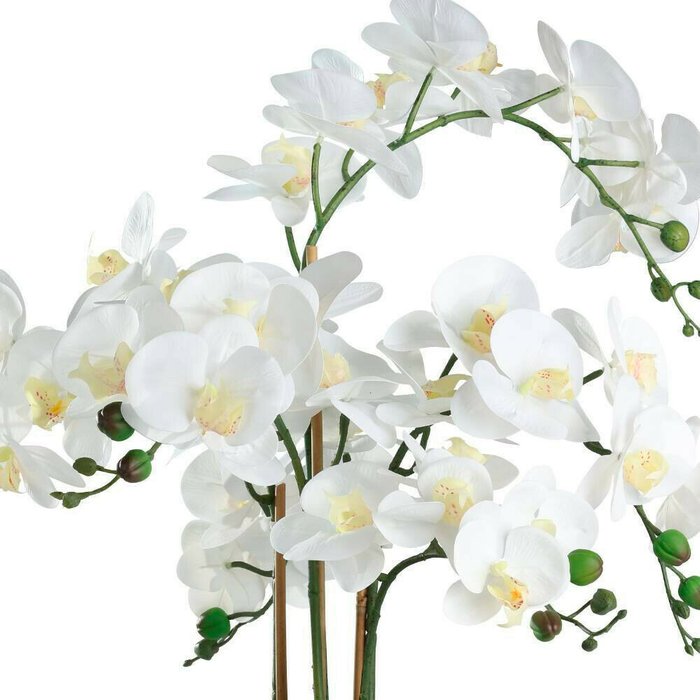 Искусственное растение Hyuga белого цвета - купить Декоративные цветы по цене 13090.0