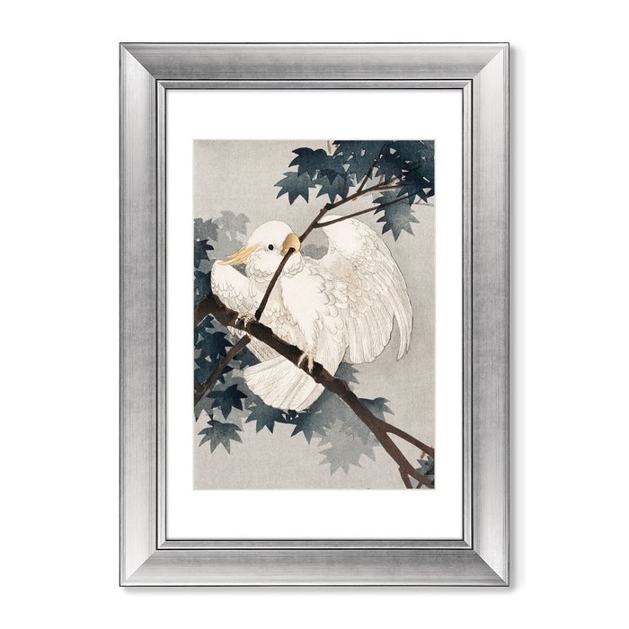 Репродукция картины в раме Yellow crested cockatoo, 1900г. - купить Картины по цене 12499.0